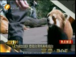 《為我加油》登陸臺灣緯來電視臺
