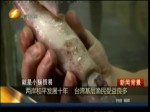 兩岸和平發展十年 臺灣基層漁民受益良多