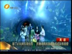 墾丁必玩屏東海生館 賞珊瑚礁夜宿海生館成陸客最愛