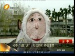 吃福祿猴試燈差評如潮 網友質疑負面營銷