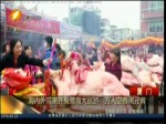 海內外宗親齊聚鷺島大巡遊：萬人空巷鬧元宵