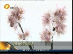 有圖有新聞