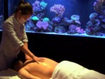玩轉互聯網，讓傳統添新彩——養生會所里的財富傳奇
