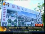 “被愛情遺忘角落”成“中國模范村” 海南在臺鄉親驚呼家鄉變化大