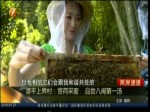 漳平上界村：賞荷採蜜 品嘗八閩第一湯