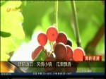 建甌迪口：風情小鎮 瓜果飄香