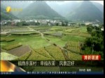 福鼎赤溪村：幸福赤溪 風景正好