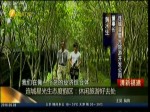 連城星光生態度假區：休閒旅遊好去處
