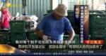 兩岸和平發展論壇 旅遊業期待：希望明天就有陸客來了