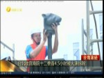 臺北故宮南院十二獸首4.5小時被火速拆除