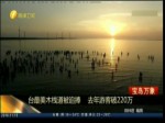 臺最美木棧道被追捧 去年遊客破220萬