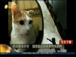 粉絲跑來撲空 貓纜貓站長咪咪悄悄退休