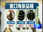濃油赤醬細火慢燉 頂級刺參肉厚彈牙