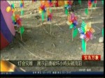 燈會災難 展示品遭破壞小雞頭破流淚
