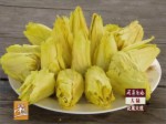 “臺灣農業兩岸行”第二季-第三集《花果大戲》