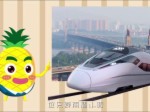 鳳梨家族看兩會——乘著高鐵去旅行