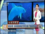 自說自話 臺當局拍動畫片呼吁大陸“有話好好講”