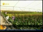 安龍氣候得天獨厚吸引臺商投資 臺媒讚嘆：兩岸農業合作典范