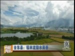 臺東縣：稻米流脂水果香