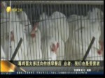 毒雞蛋大多流向傳統早餐店 業者：我們也是受害者