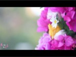 《“廈”一站? 正青春》03《浪漫一廈》