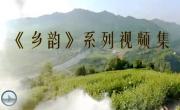 《鄉韻》原創視頻係列