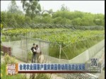 臺灣農業園落戶重慶榮昌帶動周邊農業發展