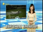 建築師打造環保豬圈 杭州農場聞名海外