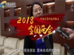 臺籍委員顏珂：很多臺灣朋友以前是說“去大陸”，現在說“回大陸”
