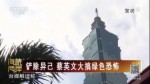 鏟除異己 蔡英文大搞綠色恐怖
