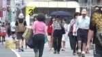 臺媒民調：臺當局執政滿意度跌至新低