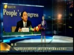 全國人大代表周洪宇：建議元宵節納入國家法定節假日