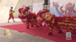 第二屆兩岸城市龍舟文化交流賽在臺北舉行