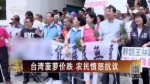 臺灣菠蘿價跌 農民憤怒抗議