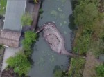 兩岸鄉味--《花果大戲》