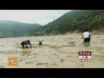 兩岸鄉味--《創意農家》