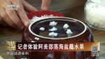 記者體驗阿美部落海鹽蘸水果