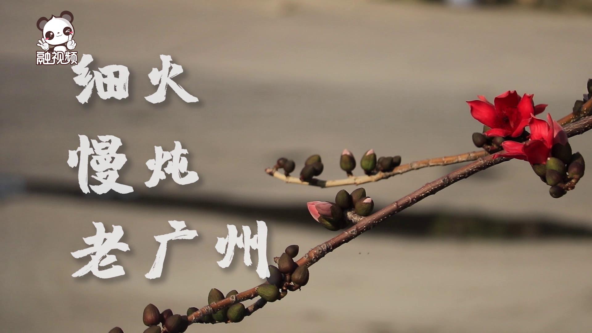 細火慢燉老廣州圖片
