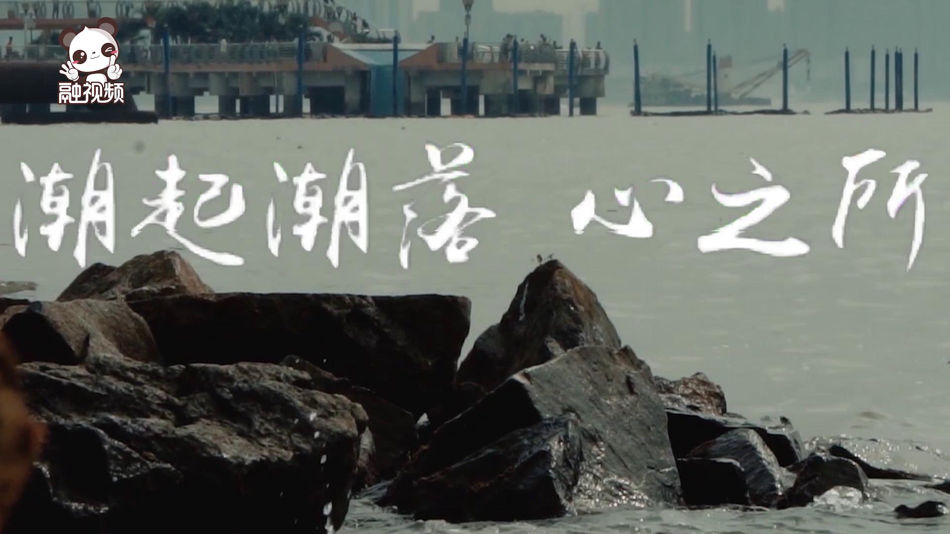 心之所向圖片
