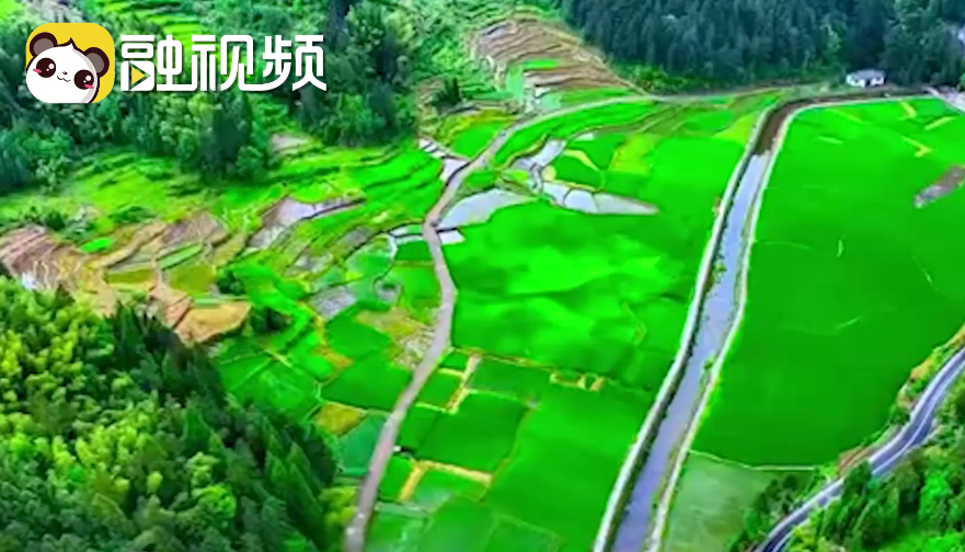 畬族民歌非遺傳承人：歡迎臺灣同胞來走走看看 共進友誼