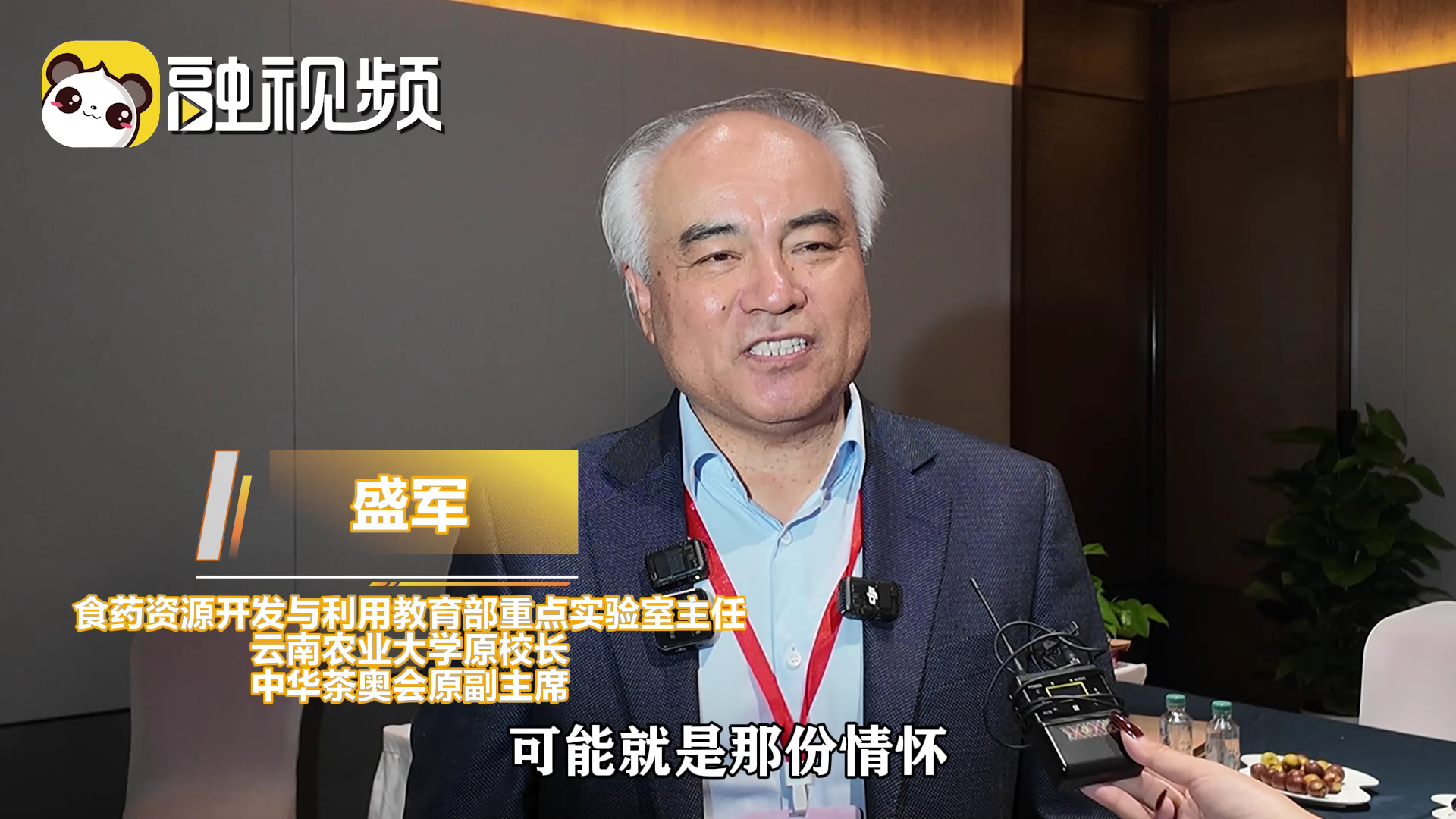 專家：以茶為橋，共築兩岸青年創新創業舞臺，推動兩岸融合發展