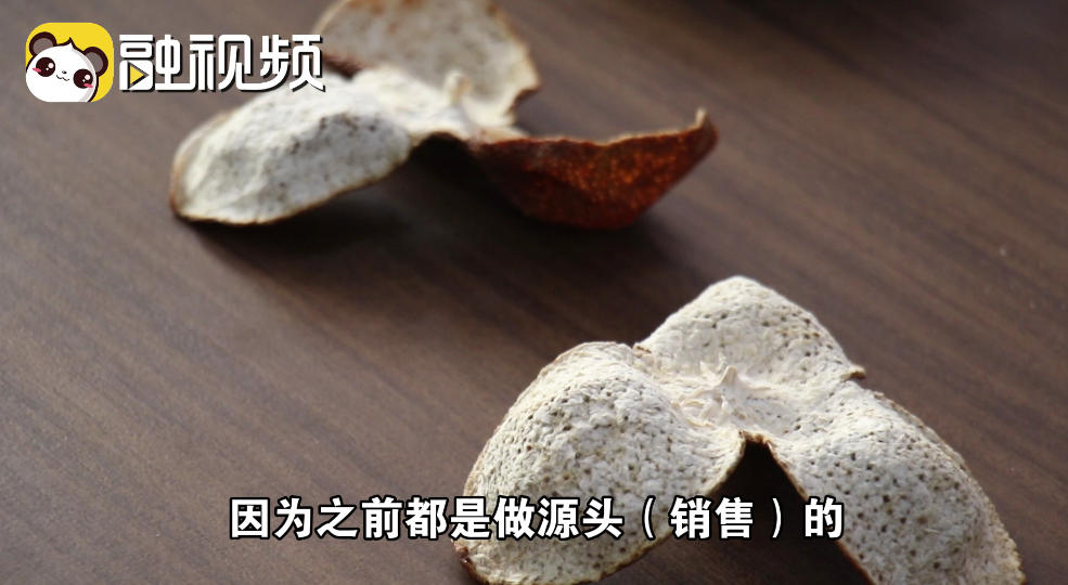 “存陳皮等于存健康，送陳皮等于送健康”浦北陳皮的發展之路