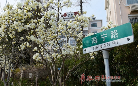 GGoq暖芤Rôoe˵s玉兰a