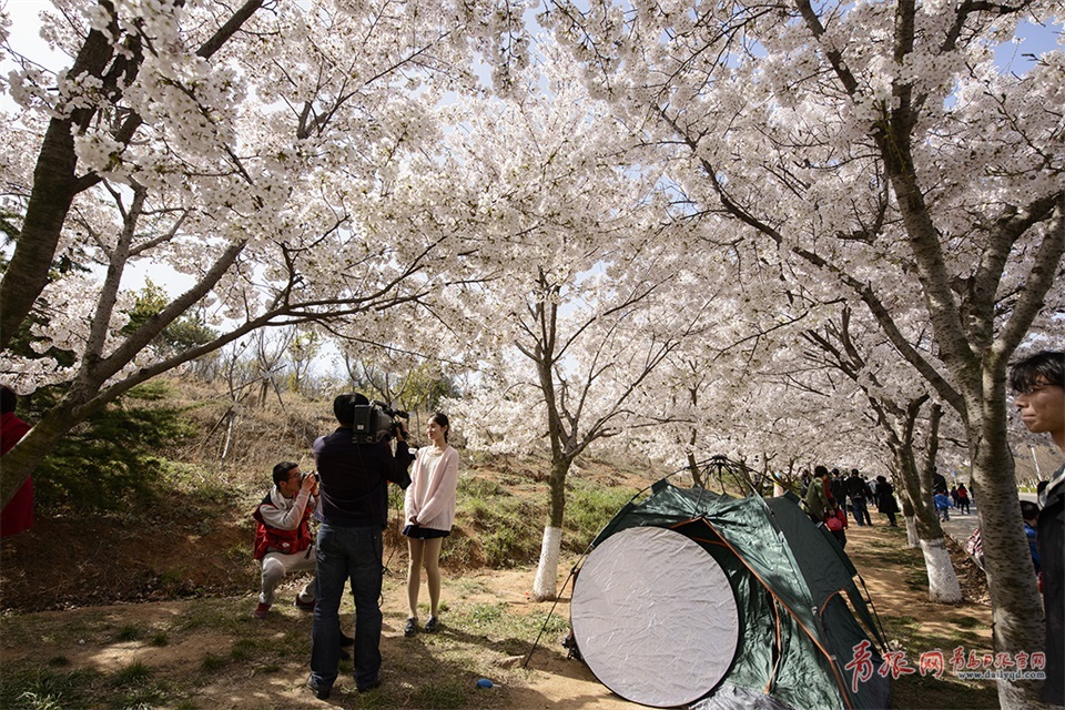 d_WGdso|qs s芿oᬾgt